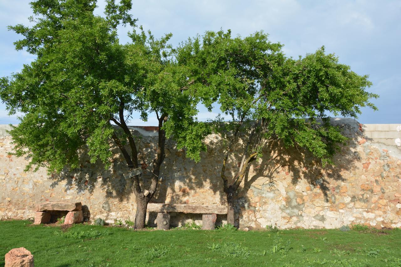 Casa Rural Aromas De La Manchuela Alborea Exterior photo